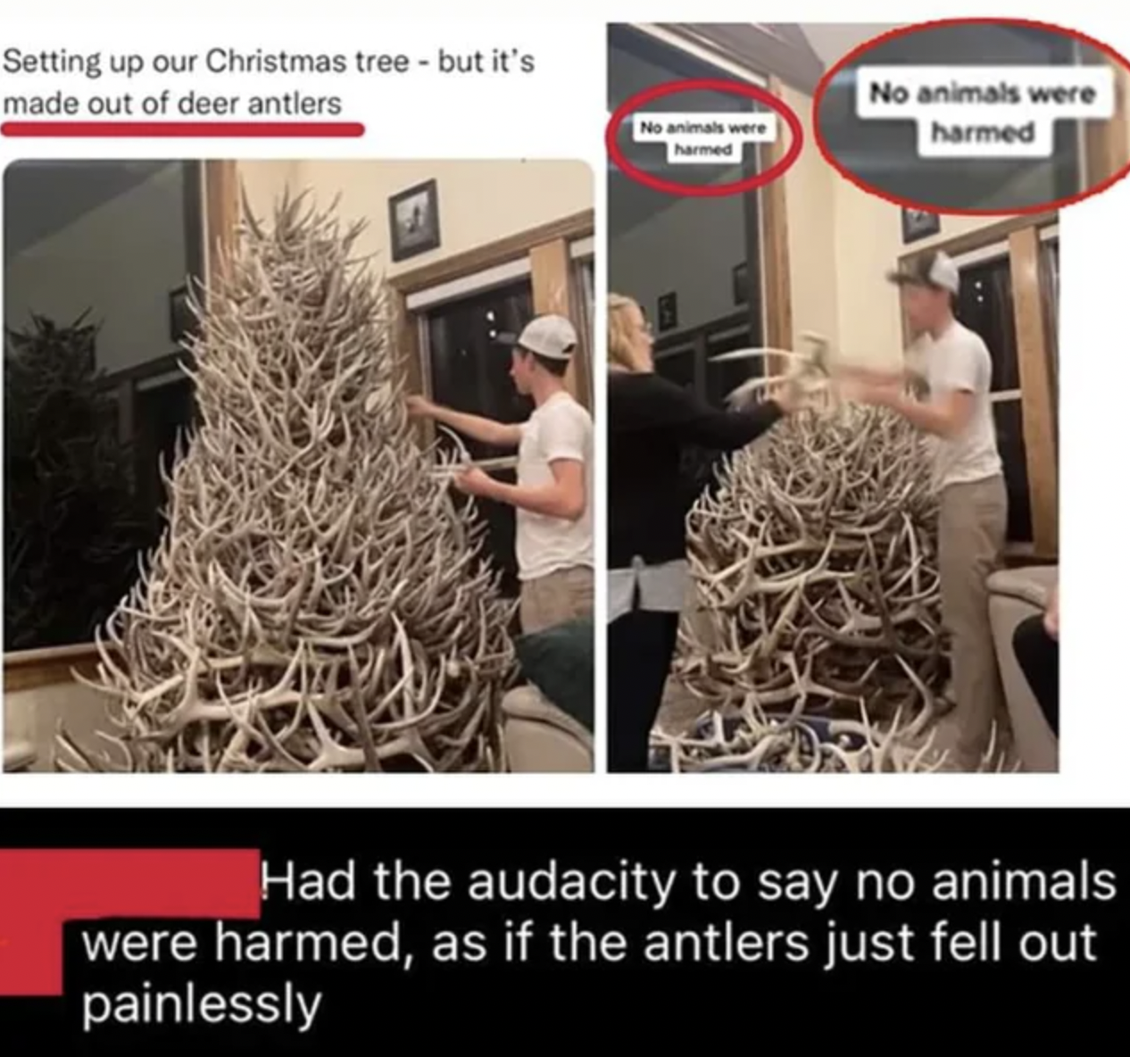 Facepalms and Fails - Setting up our Christmas tree but it's made out of deer antlers No animals were harmed No animals were harmed Had the audacity to say no animals were harmed, as if the antlers just fell out painlessly