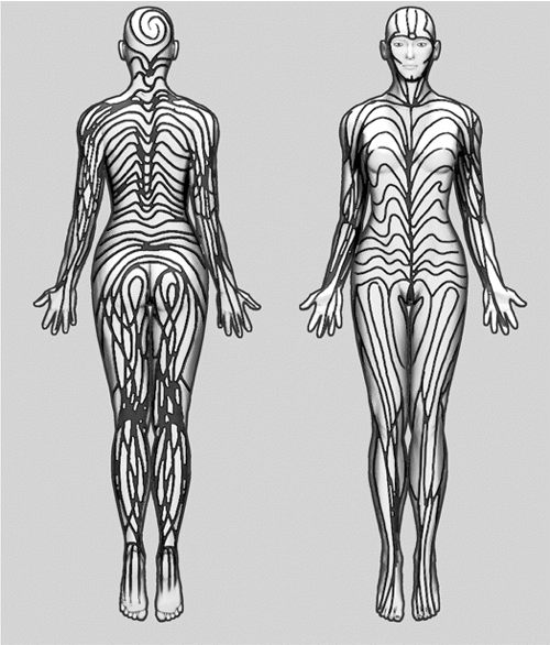 Human skin is overlaid with a pattern called Blaschko’s Lines, stripes covering the body from head to toe. The stripes run up and down your arms and legs and hug your torso. They wrap around the back of your head like a hood and across your face. You just can’t see them. -DadsRGR8