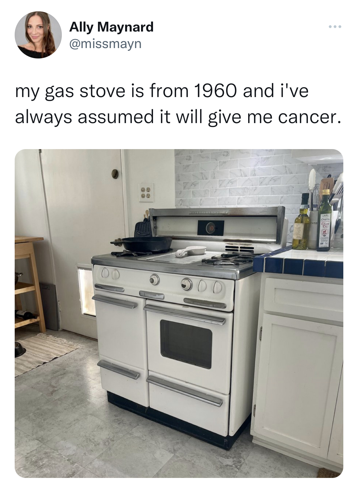 Gas Stove Ban Memes kitchen - Ally Maynard my gas stove is from 1960 and i've always assumed it will give me cancer.