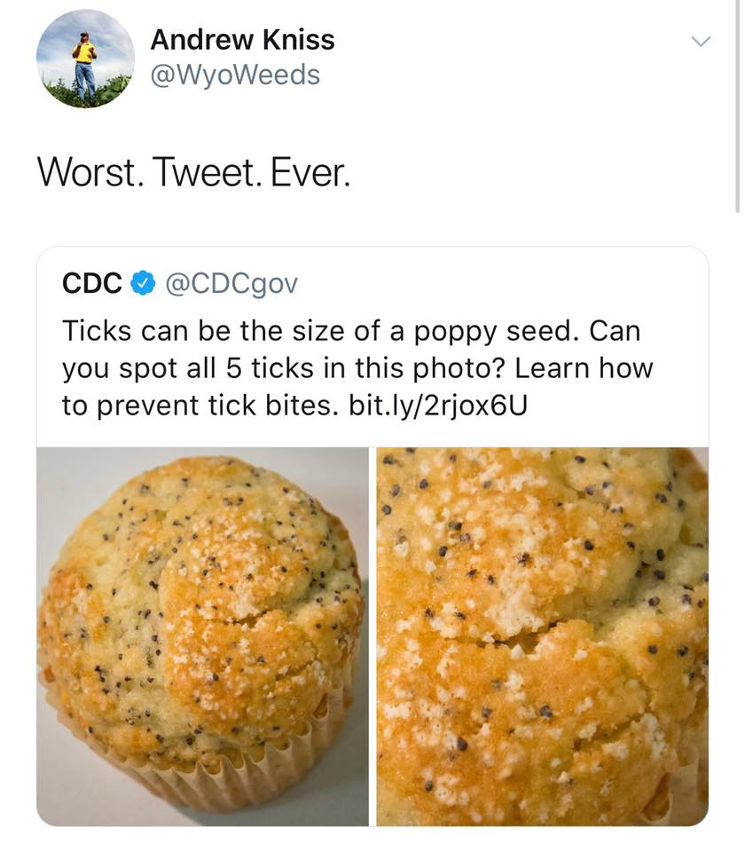 monday morning randomness - muffin - Andrew Kniss Worst. Tweet. Ever. Cdc Ticks can be the size of a poppy seed. Can you spot all 5 ticks in this photo? Learn how to prevent tick bites. bit.ly2rjox6U