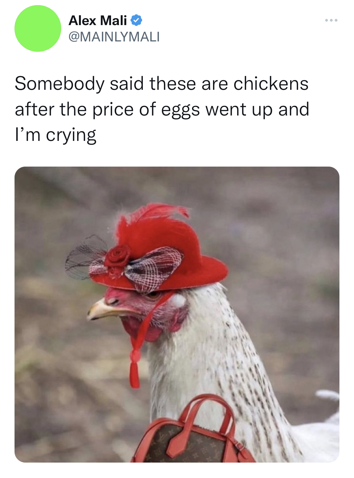 Egg Shortage 2023 memes - fauna - Alex Mali Somebody said these are chickens after the price of eggs went up and I'm crying