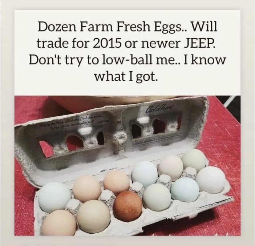 Egg Shortage 2023 memes - egg trade for jeep - Dozen Farm Fresh Eggs.. Will trade for 2015 or newer Jeep. Don't try to lowball me.. I know what I got. Thay which the ford ha Litwa rejoice and be glad in 1961 Goldher