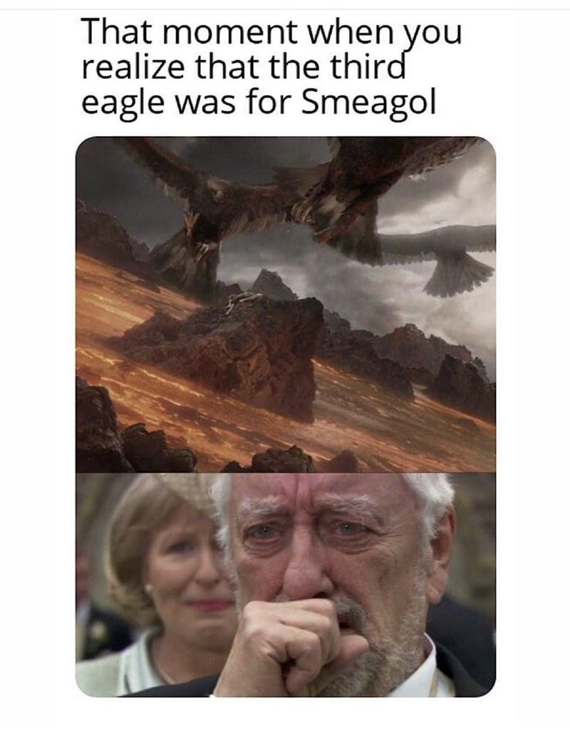 funny memes - you realize the 3rd eagle - That moment when you realize that the third eagle was for Smeagol