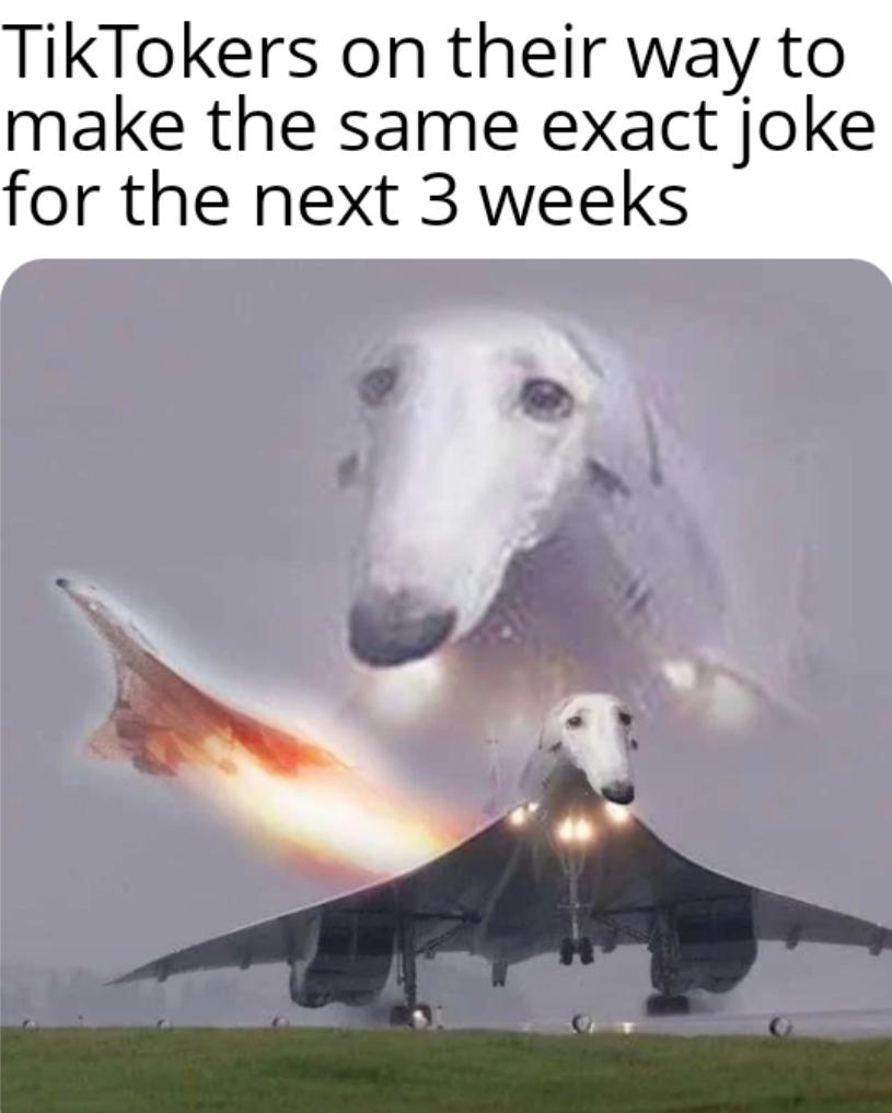 funny and svage memes - fighter jet snoot droop - TikTokers on their way to make the same exact joke for the next 3 weeks
