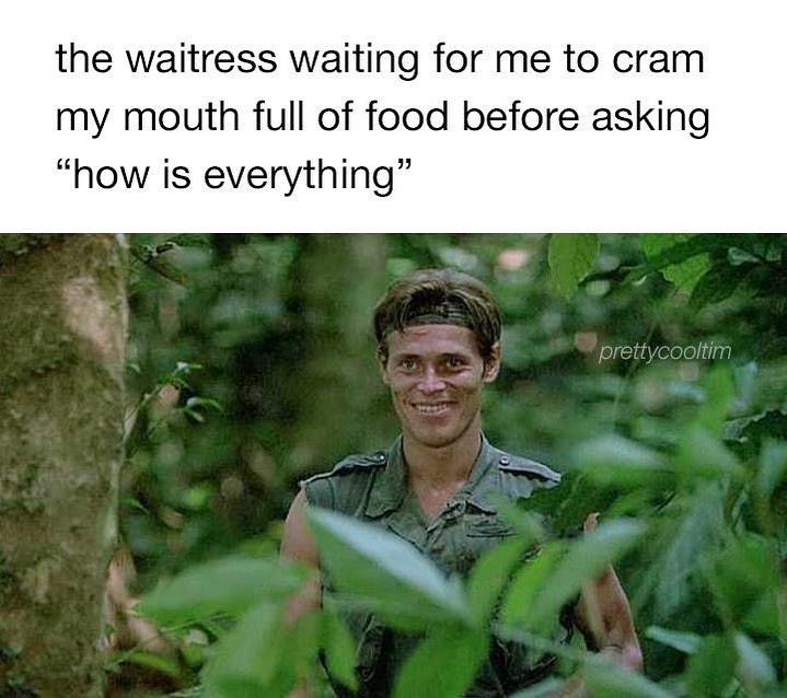 funny memems and tweetsInternet meme - the waitress waiting for me to cram my mouth full of food before asking "how is everything" prettycooltim