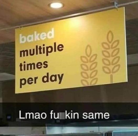 funny memems and tweetssignage - baked multiple times per day 0000 0000 0000 0000 Lmao fu kin same