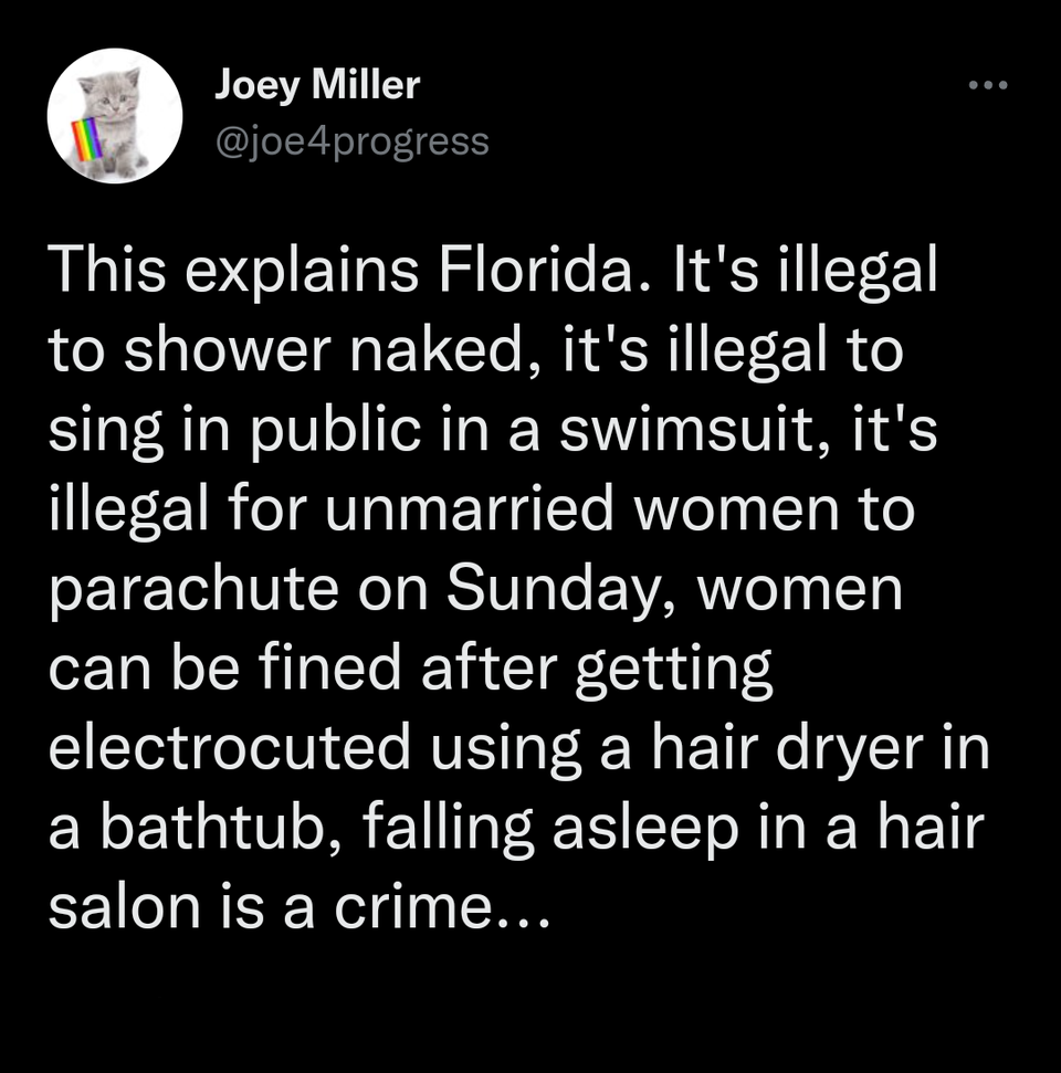funny memems and tweetsdepression tweets - Joey Miller This explains Florida. It's illegal to shower naked, it's illegal to sing in public in a swimsuit, it's illegal for unmarried women to parachute on Sunday, women can be fined after getting electrocute