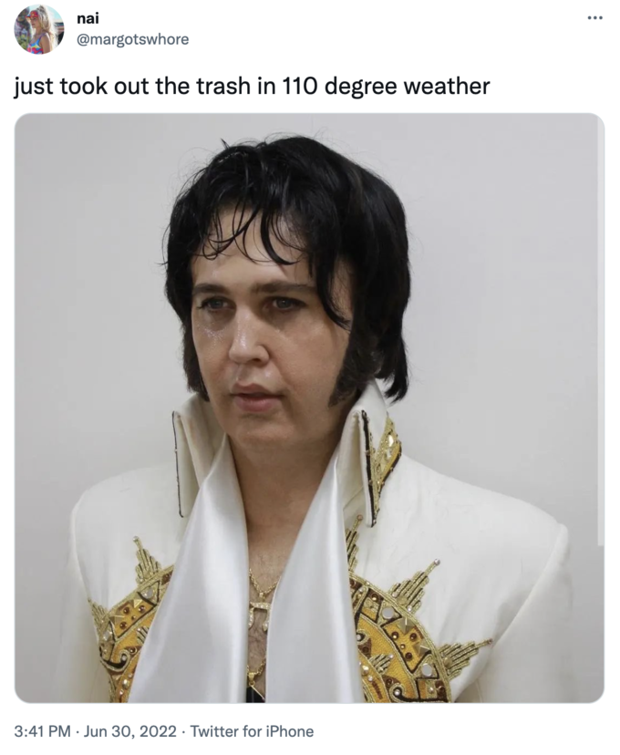 2023 Oscar Nominated Memes - sweaty elvis memes - nai just took out the trash in 110 degree weather Twitter for iPhone