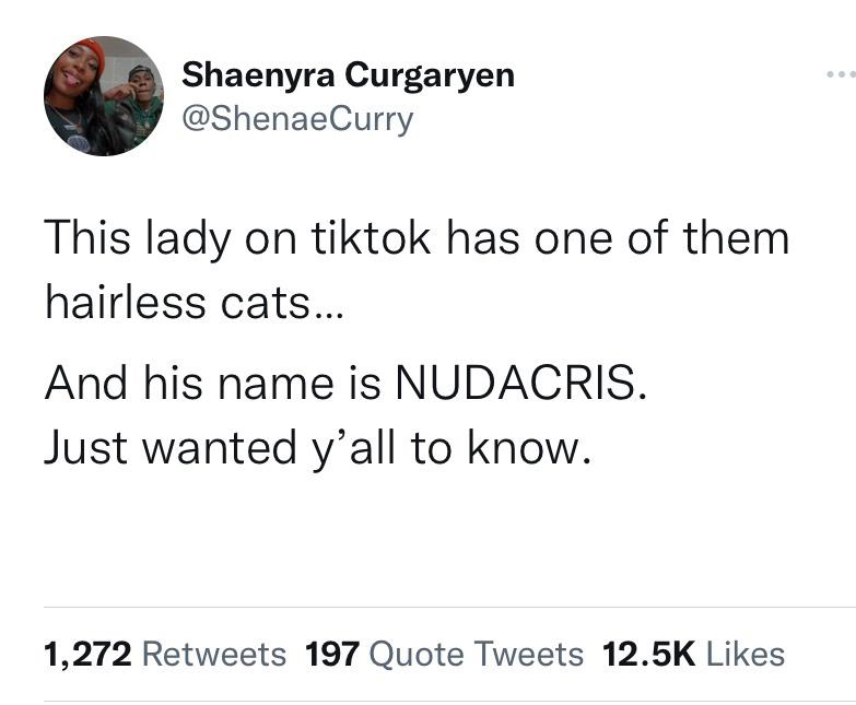caroline ellison meth - Shaenyra Curgaryen This lady on tiktok has one of them hairless cats... And his name is Nudacris. Just wanted y'all to know. 1,272 197 Quote Tweets