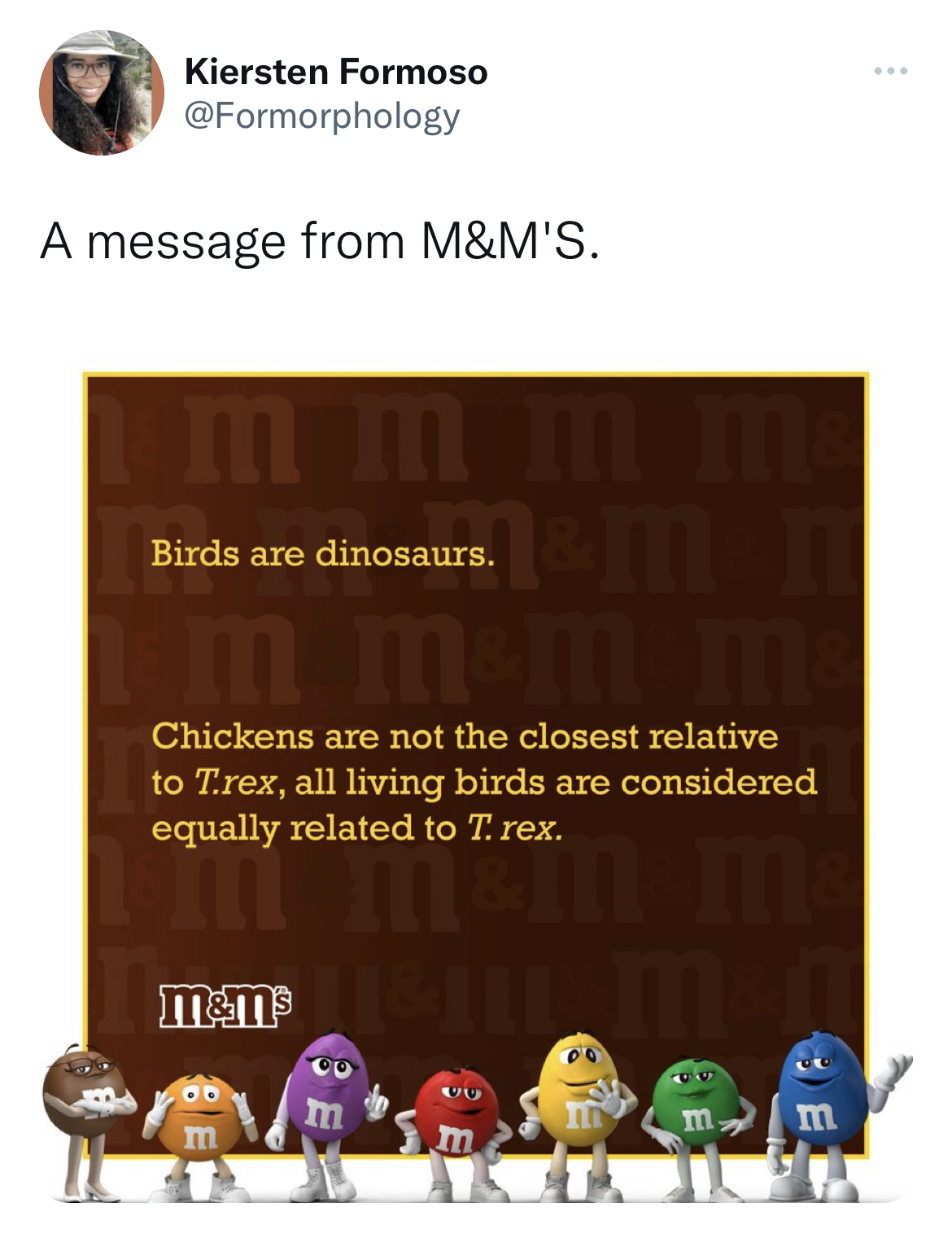 M&M's message spoofs - M&M's - Kiersten Formoso A message from M&M'S. mm ma Birds are dinosaurs. 1 m m&m m Chickens are not the closest relative to T.rex, all living birds are considered equally related to T. rex. mam ma m mm mm A E