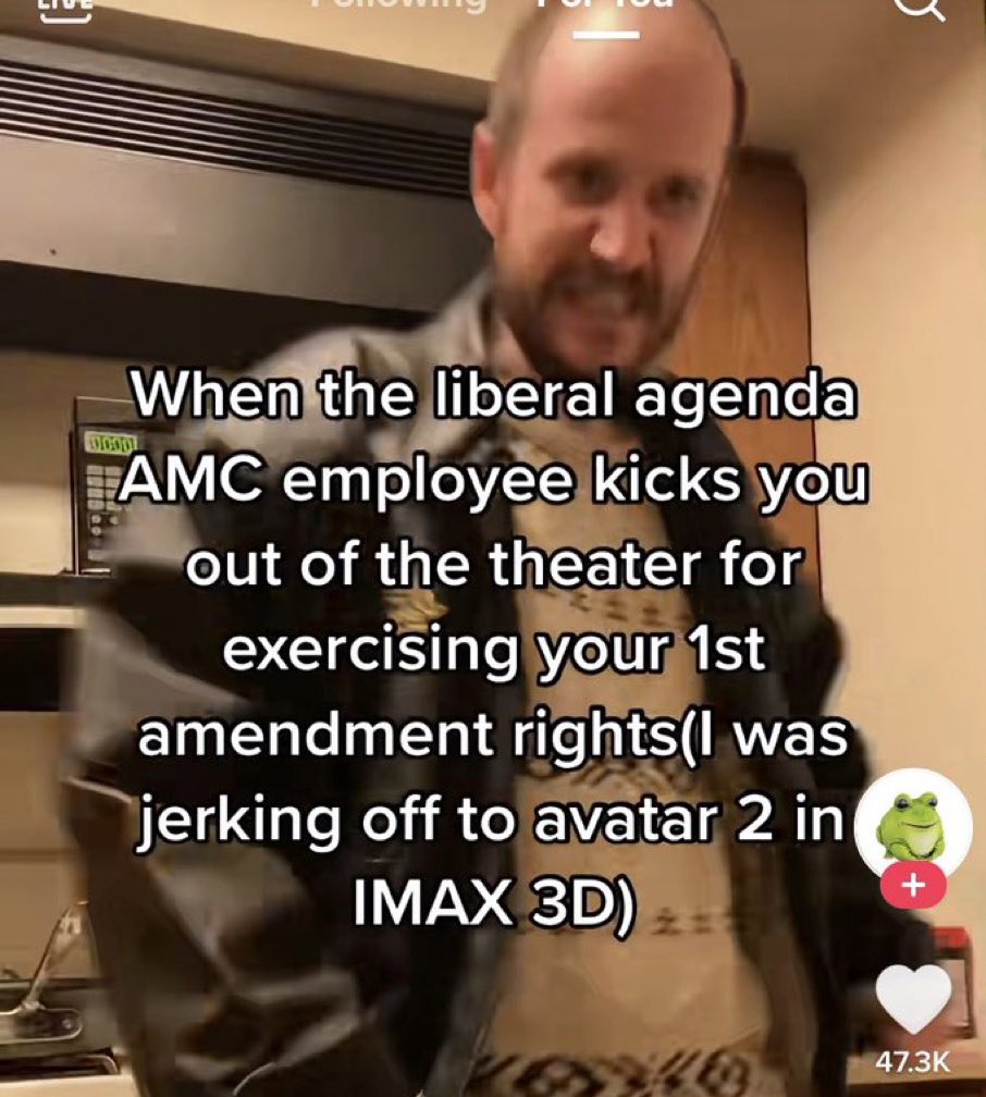 Unhinged TikTok Screenshots - photo caption - When the liberal agenda Amc employee kicks you out of the theater for exercising your 1st amendment rightsI was jerking off to avatar 2 in Imax 3D 2