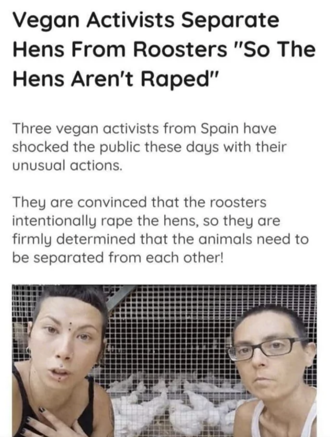 head - Vegan Activists Separate Hens From Roosters