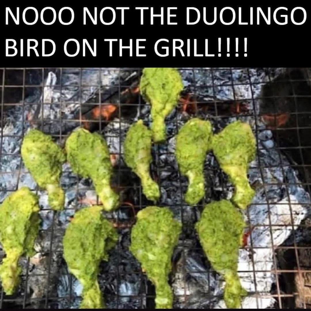 Nooo Not The Duolingo Bird On The Grill!!!!