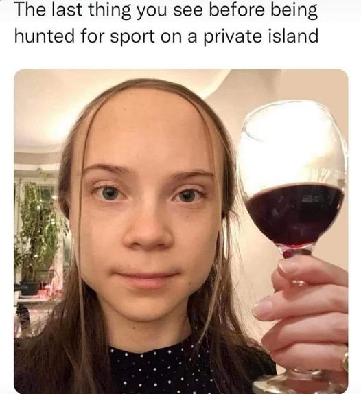 dank memes - greta thunberg wine - The last thing you see before being hunted for sport on a private island