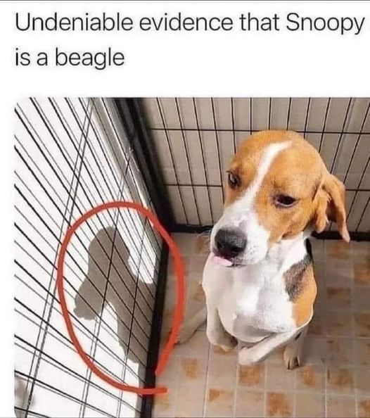 dank memes - beagle - Undeniable evidence that Snoopy is a beagle