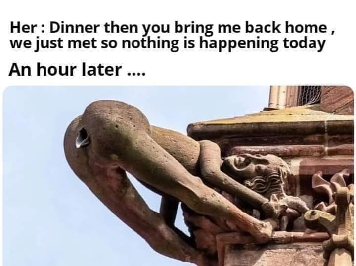 spicy memes and dirty pics - cultural heritage centre - Her Dinner then you bring me back home, we just met so nothing is happening today An hour later ....