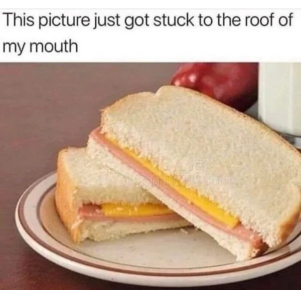 relatable memes - baloney and cheese sandwich - This picture just got stuck to the roof of my mouth