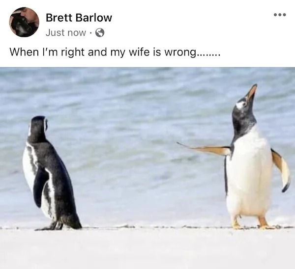 relatable memes - wildlife photography winner 2022 - Brett Barlow Just now When I'm right and my wife is wrong........ ...