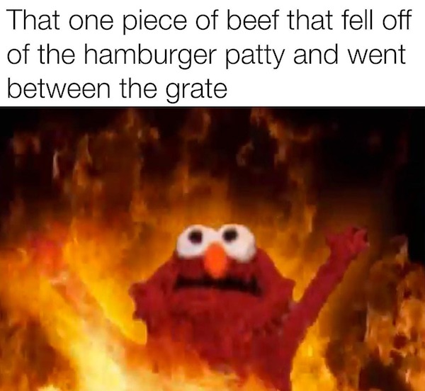 relatable memes - aesthetic elmo - That one piece of beef that fell off of the hamburger patty and went between the grate