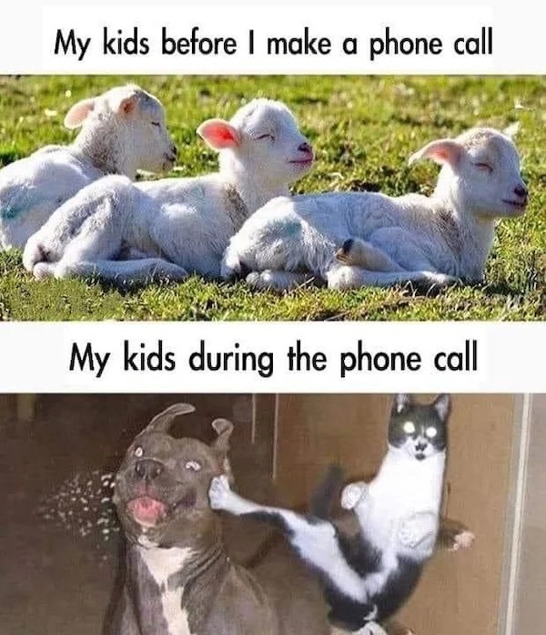 relatable memes - my kids memes - My kids before I make a phone call My kids during the phone call