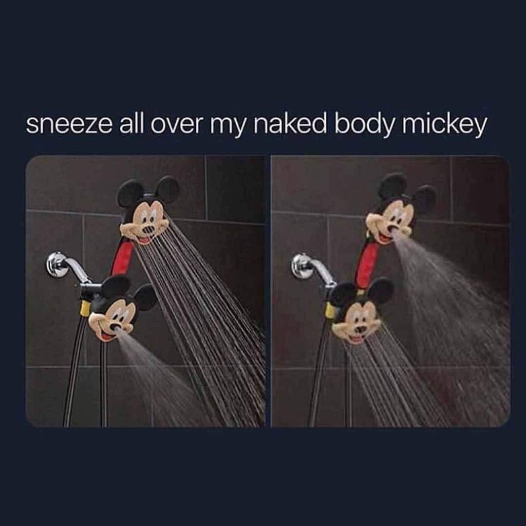 funny memes and pics - sneeze all over my naked body mickey