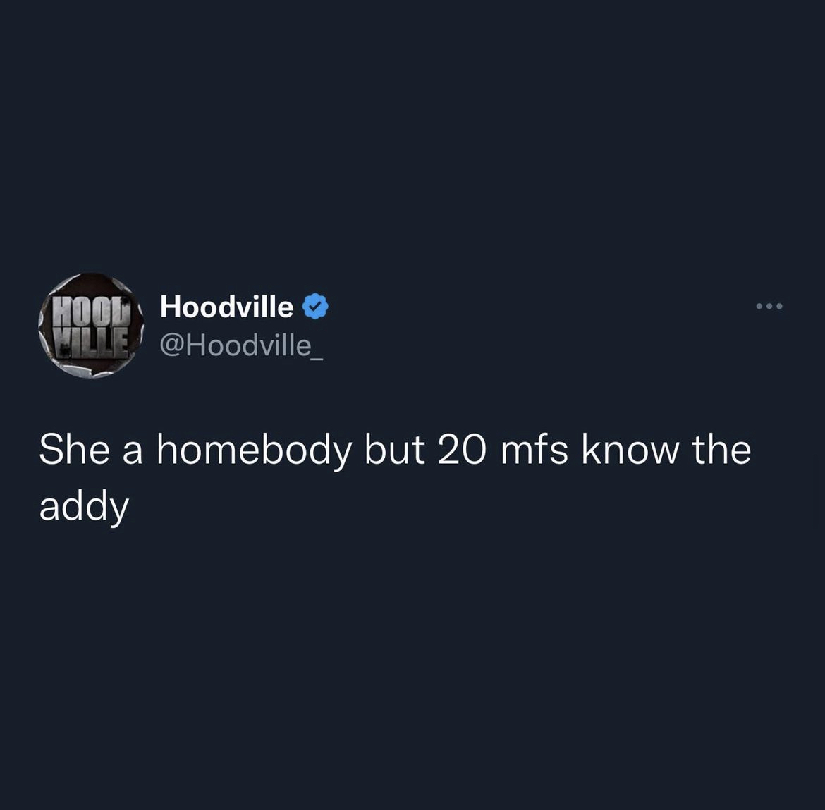 Hoodville memes and captions - atmosphere - Hool Hoodville Wille! She a homebody but 20 mfs know the addy ...