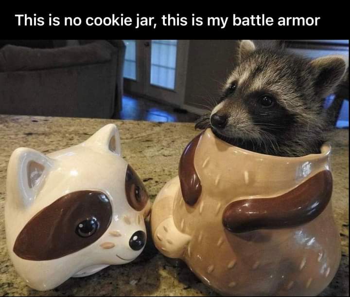funny memes and pics - am jar cookie in me please - This is no cookie jar, this is my battle armor