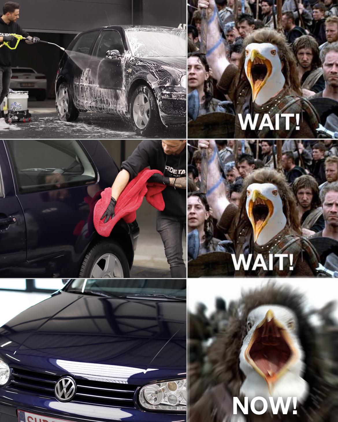 funny memes and pics - vehicle door - Foeta Wait! Wait! Now!