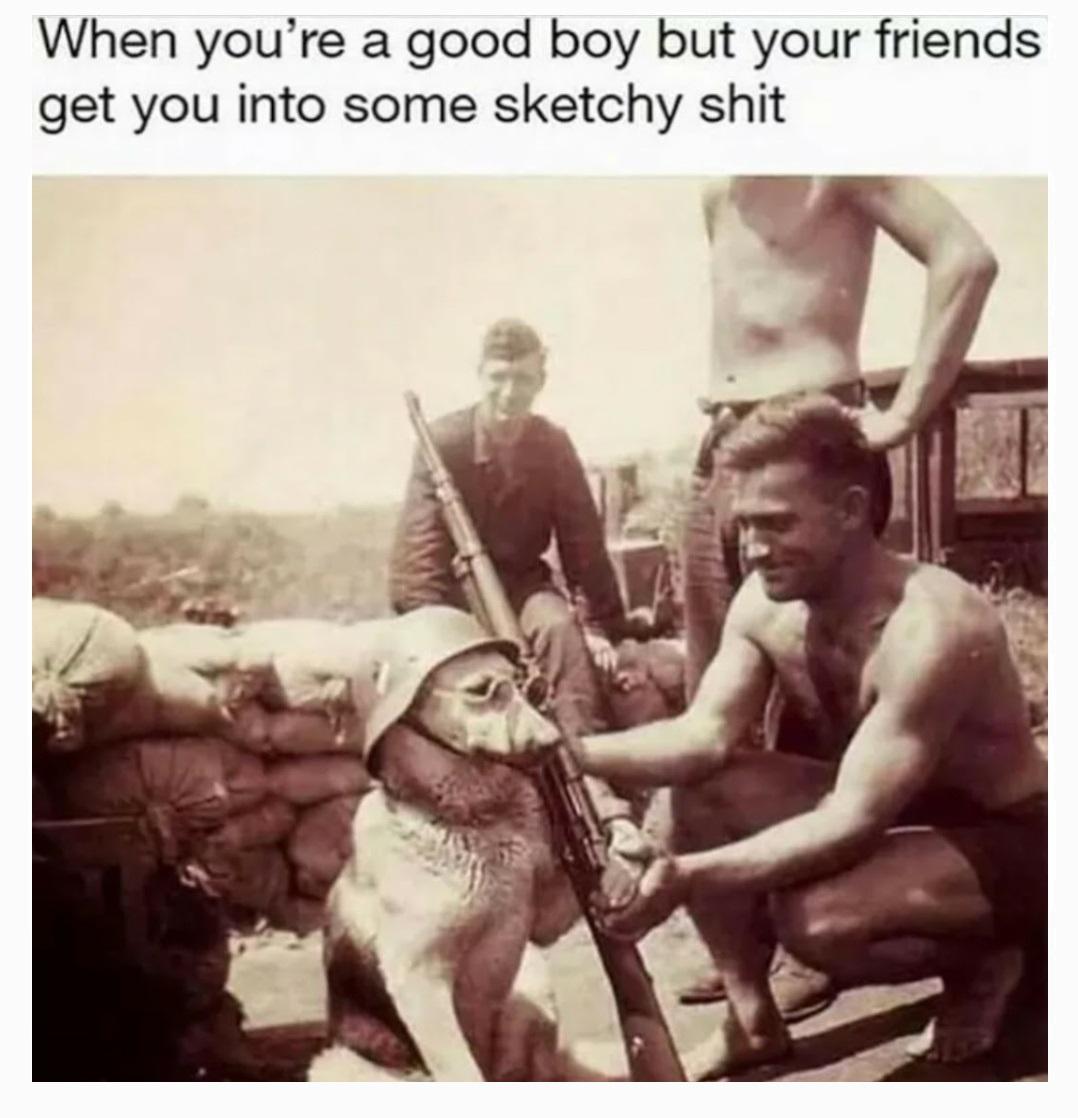 funny memes and pics - museo nacional de bellas artes - When you're a good boy but your friends get you into some sketchy shit