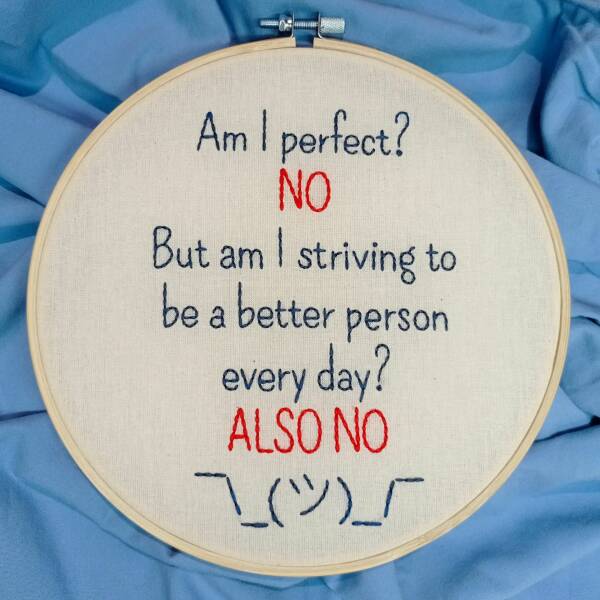 funny pics and cool randoms - Embroidery - Am I perfect? No But am I striving to be a better person every day? Also No 10_5