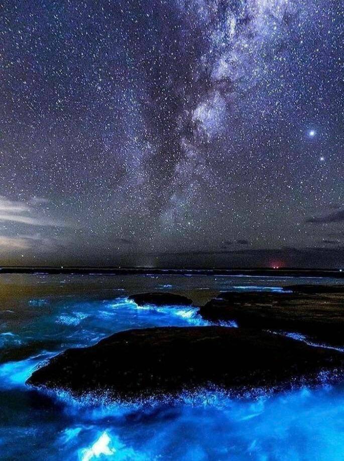 funny pics and cool randoms - jervis bay night sky