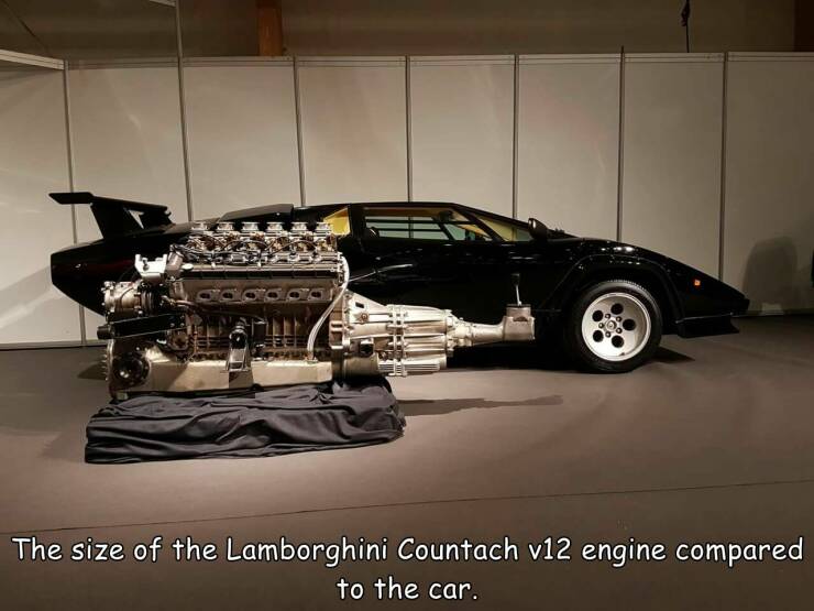 funny pics and cool randoms - lamborghini countach engine and transmission - The size of the Lamborghini Countach v12 engine compared to the car.