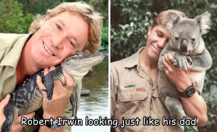 funny pics and cool randoms - steve irwin - Robert Robert Irwin looking just his dad