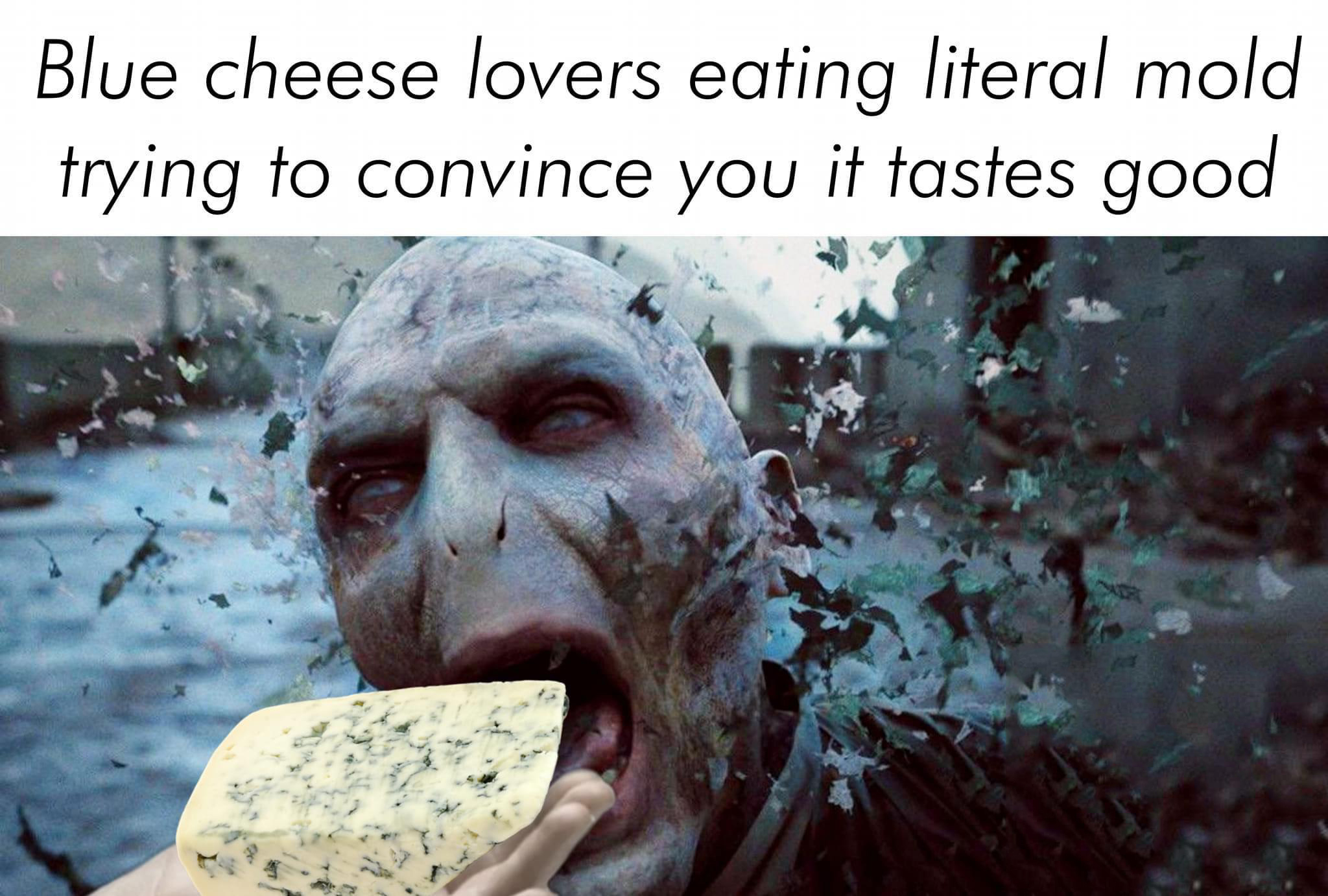 funny memes - Internet meme - Blue cheese lovers eating literal mold trying to convince you it tastes good