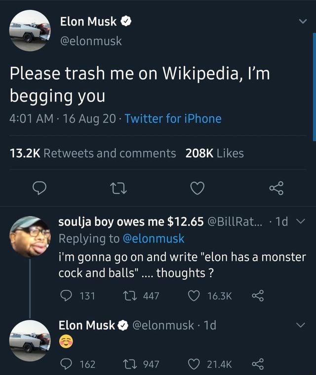 Examples of Insane D*ckriding - screenshot - Elon Musk Please trash me on Wikipedia, I'm begging you