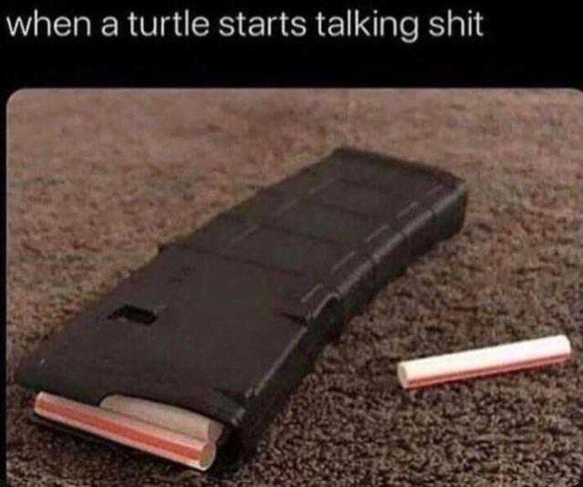 funny memes and pics - material - when a turtle starts talking shit