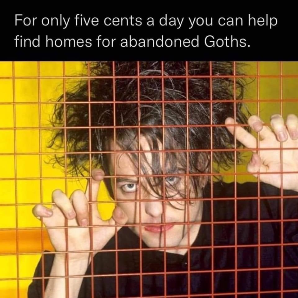monday morning randomness - Meme - For only five cents a day you can help find homes for abandoned Goths.