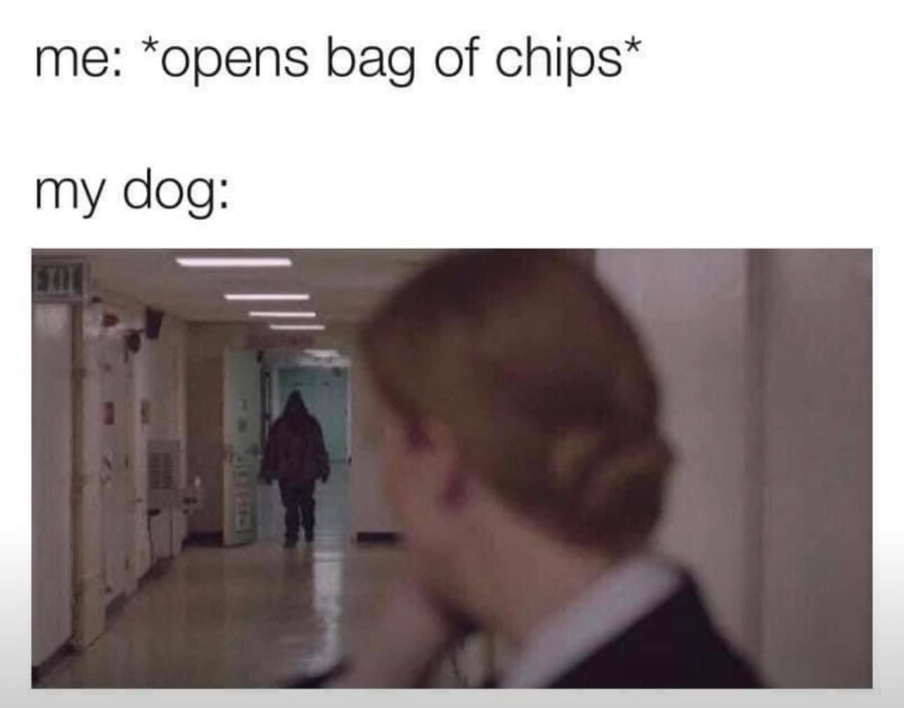 monday morning randomness - presentation - me opens bag of chips my dog Exit