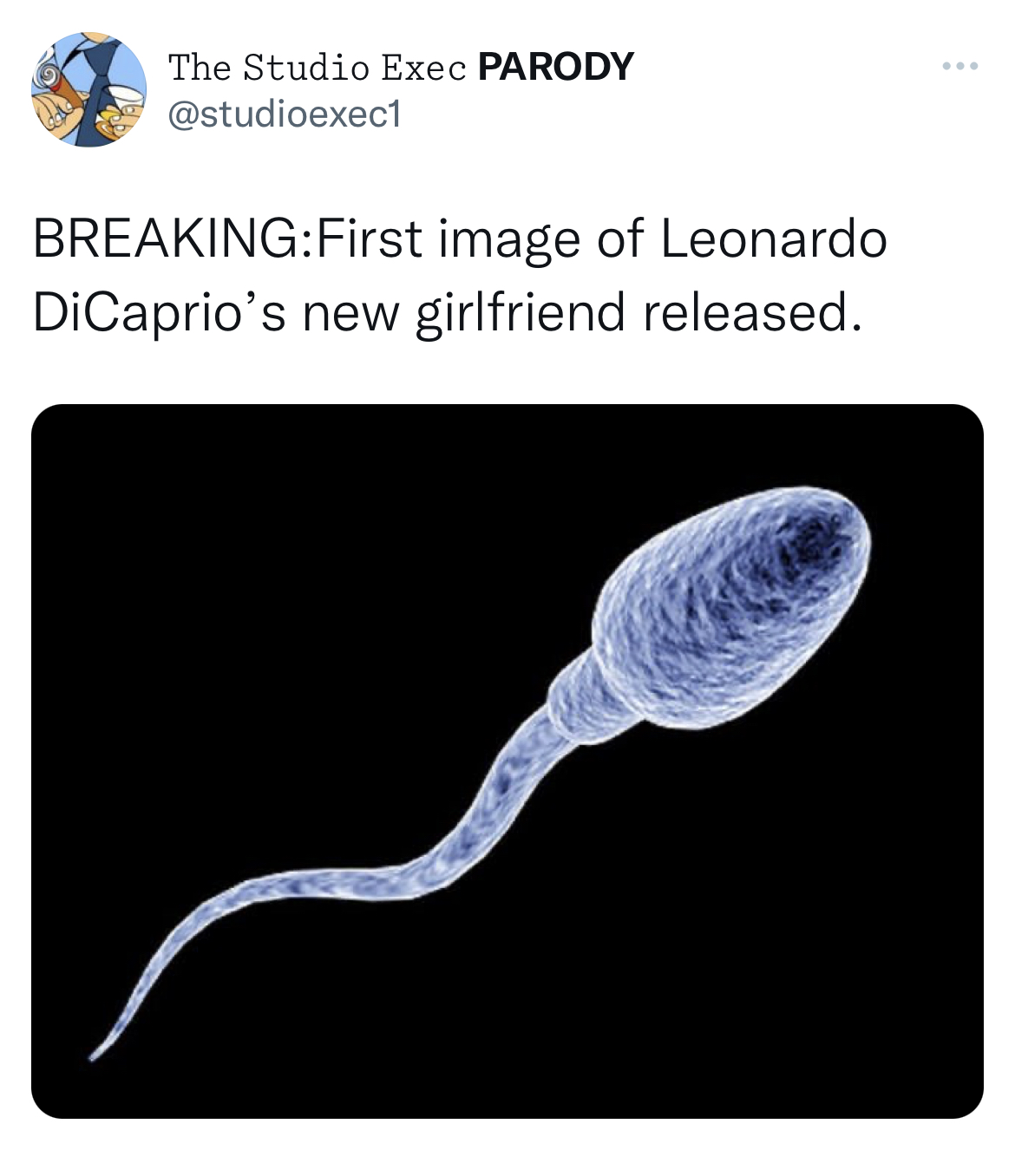 Leonardo DiCaprio Girlfriend Memes - that's a lot of information to swallow meme - The Studio Exec Parody BreakingFirst image of Leonardo DiCaprio's new girlfriend released.