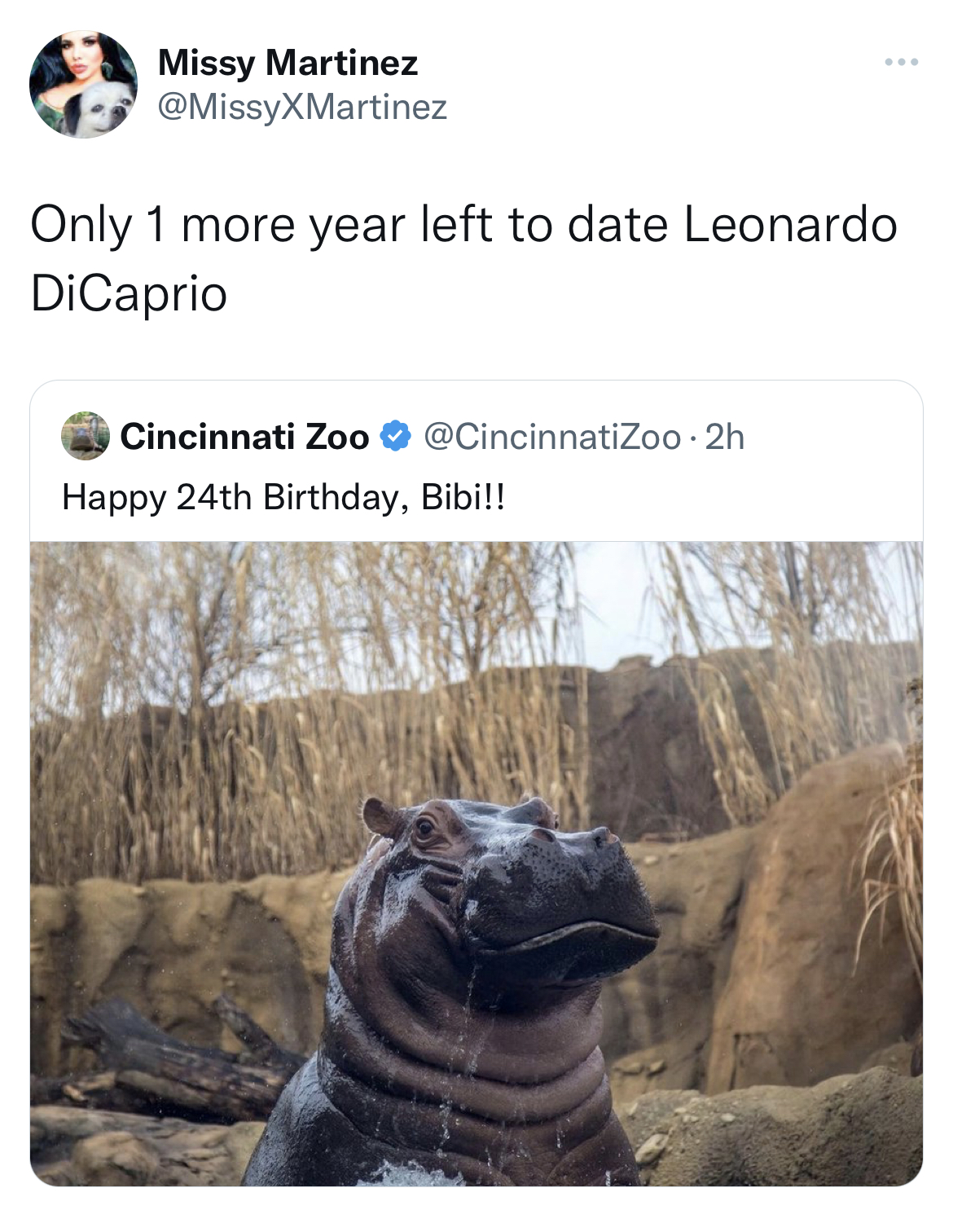 Leonardo DiCaprio Girlfriend Memes - fauna - Missy Martinez Only 1 more year left to date Leonardo DiCaprio Cincinnati Zoo Happy 24th Birthday, Bibi!!