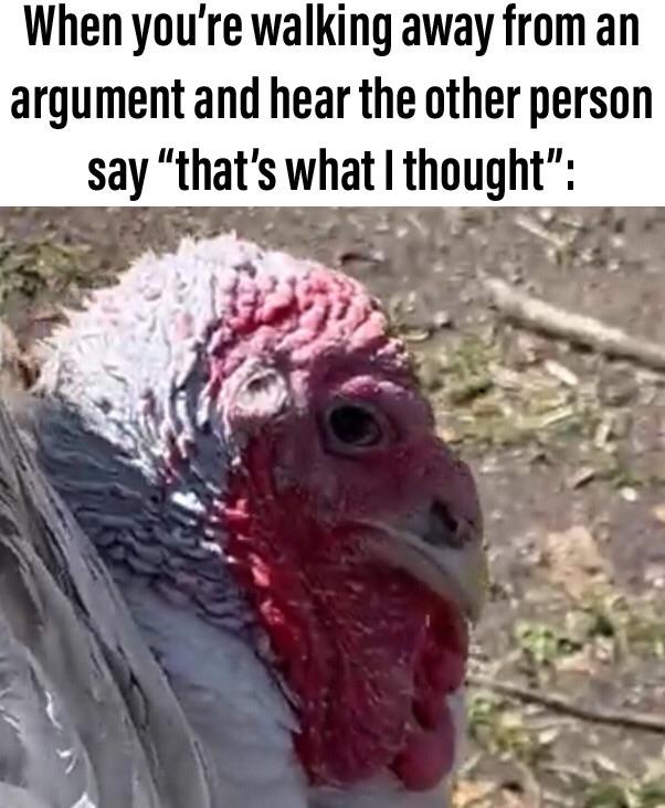 funny memes and pics - beak - When you're walking away from an argument and hear the other person say "that's what I thought"