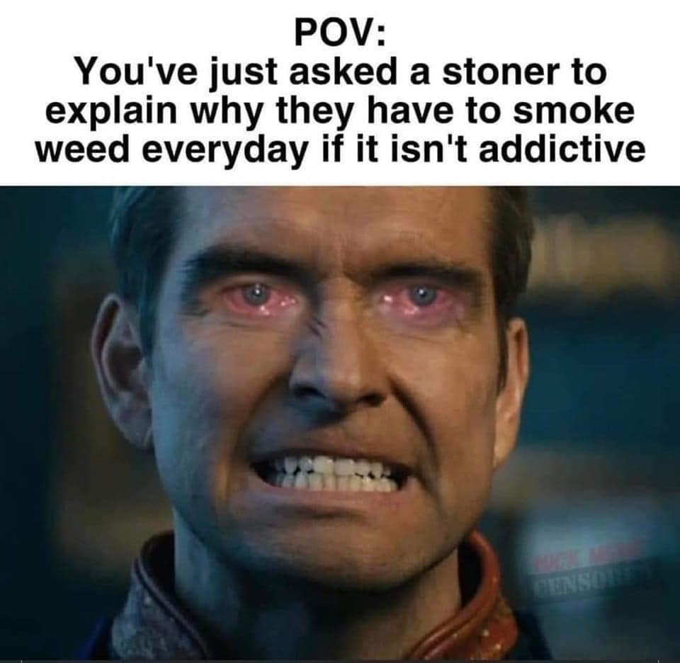 funny memes and pics - Meme - Pov You've just asked a stoner to explain why they have to smoke weed everyday if it isn't addictive Censolley