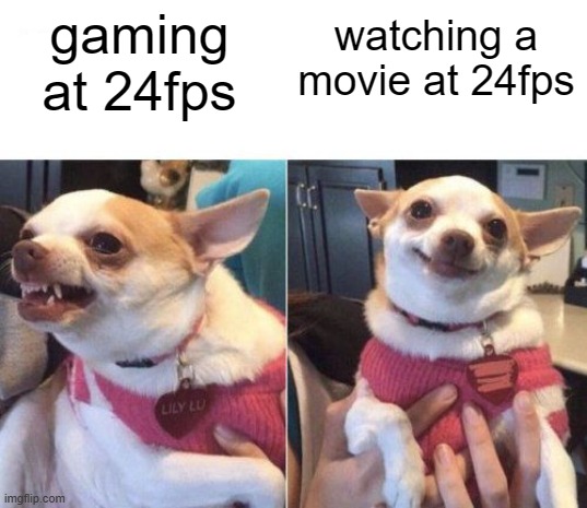 funny memes and pics - happy angry chihuahua - gaming at 24fps imgflip.com Lily Lu watching a movie at 24fps