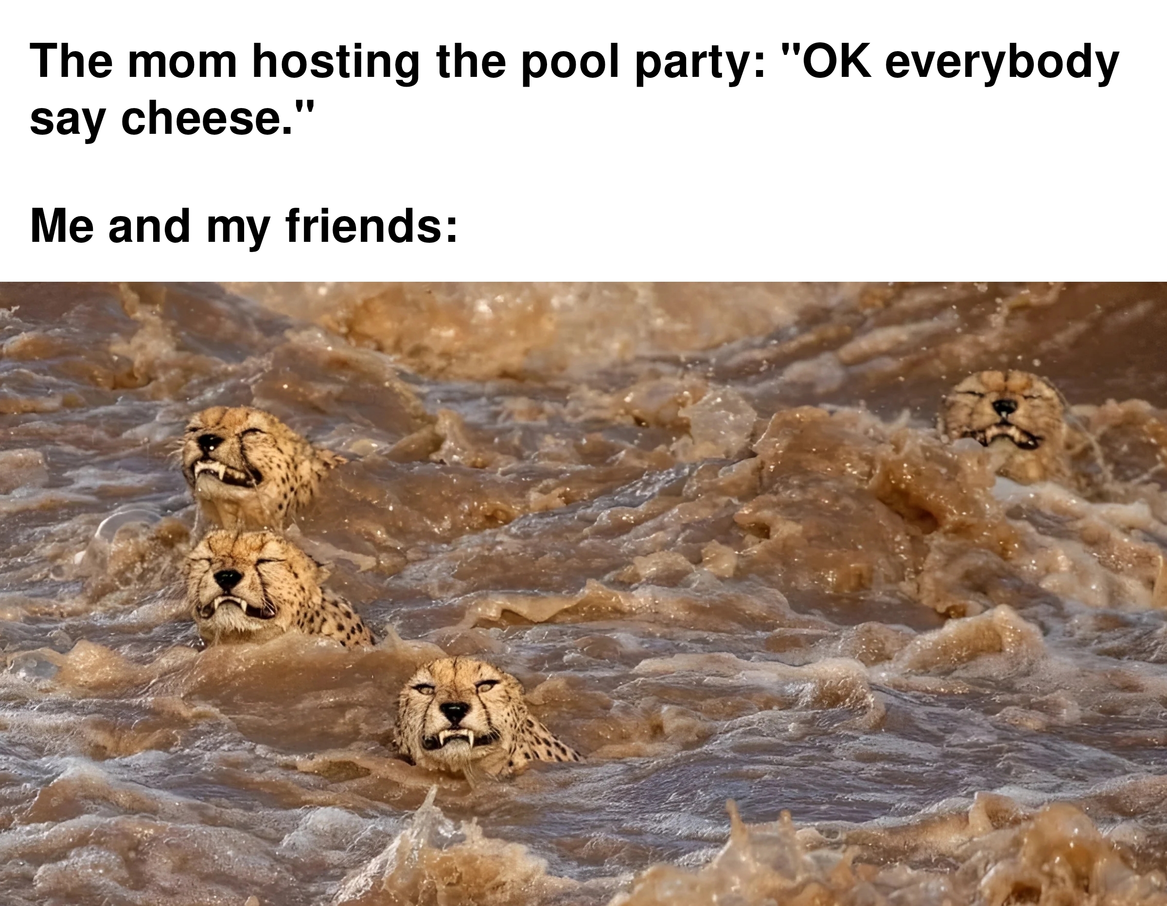 funny memes and pics - cheetahs crossing river - The mom hosting the pool party "Ok everybody say cheese." Me and my friends