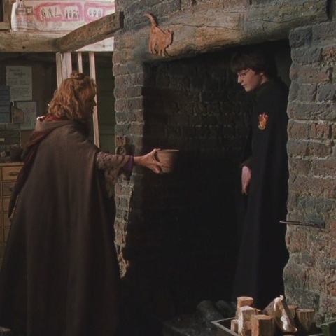Fan theories about movies and shows - weasley fireplace scene - Hengalie M 32013
