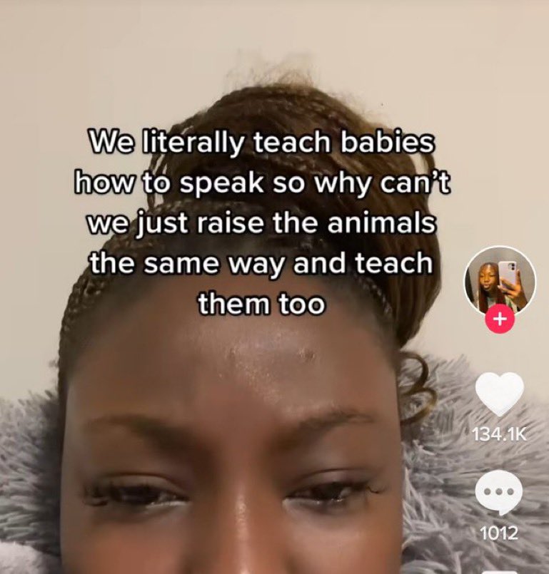 eyelash - We literally teach babies how to speak so why can't we just raise the animals the same way and teach them too x 1012