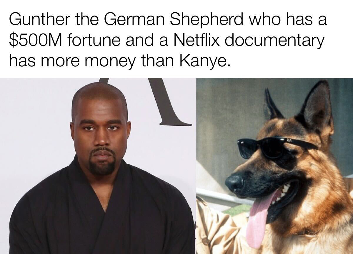 dank memes - richest dog in the world - Gunther the German Shepherd who has a $500M fortune and a Netflix documentary has more money than Kanye. W
