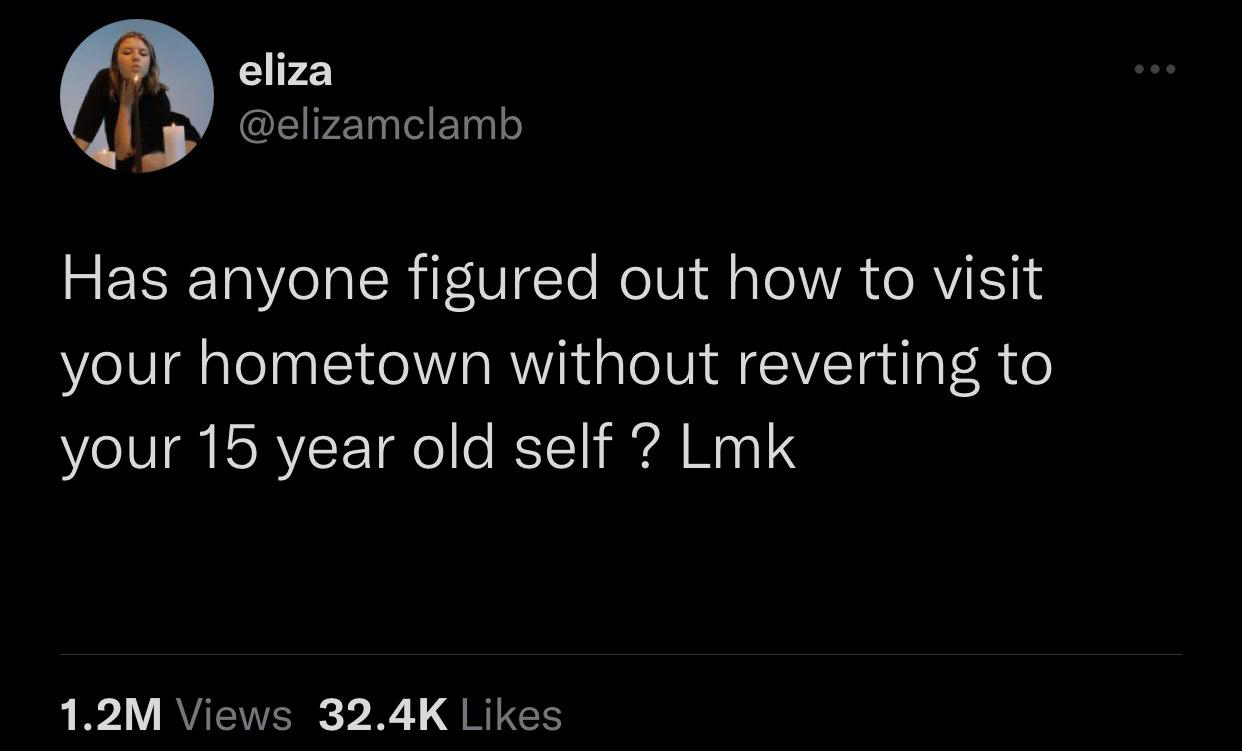 funny memes pics and tweets - wouldn t do you like that quotes - eliza Has anyone figured out how to visit your hometown without reverting to your 15 year old self ? Lmk 1.2M Views