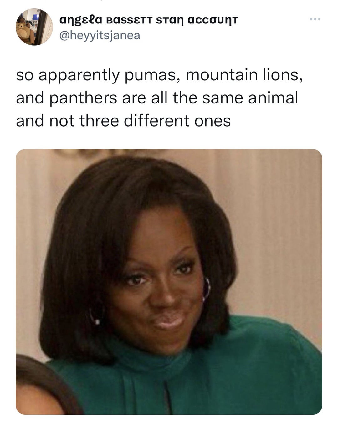 funny memes pics and tweets - head - angela BassETT stan acc so apparently pumas, mountain lions, and panthers are all the same animal and not three different ones