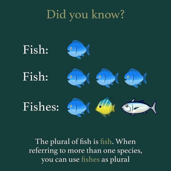 infographics and charts - plural of fish - Did you know? Fish Fish Fishes O The plural of fish is fish. When referring to more than one species, you can use fishes as plural